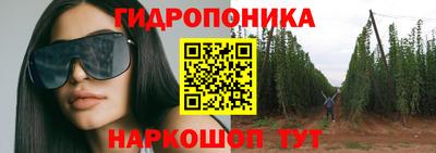 каннабис Гусев