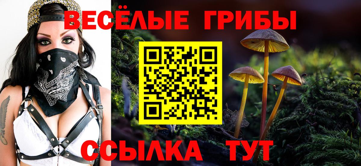 Псилоцибиновые грибы MAGIC MUSHROOMS  Псилоцибиновые грибы мицелий  Магадан  Вход с VPN 